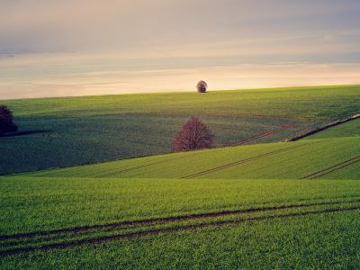 transizione ecologica - CambiamoAgricoltura