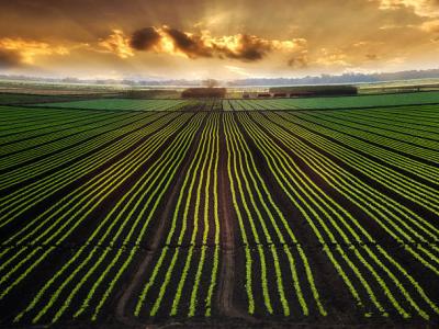 Cambiamo Agricoltura