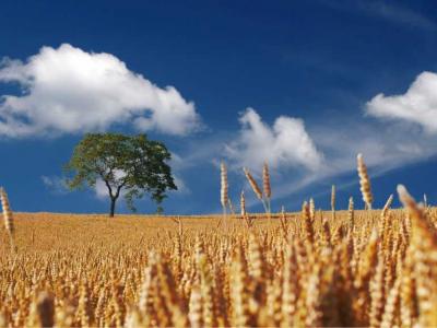 No alle deroghe delle norme della politica agricola comune per la tutela della biodiversità nei siti Natura 2000