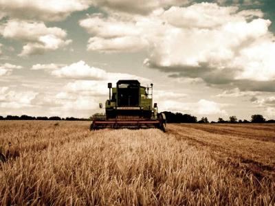 Chiarimenti sul tavolo di Partenariato - CambiamoAgricoltura